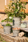 Preview: IB Laursen Metall Töpfe 3er Set Urban Garden