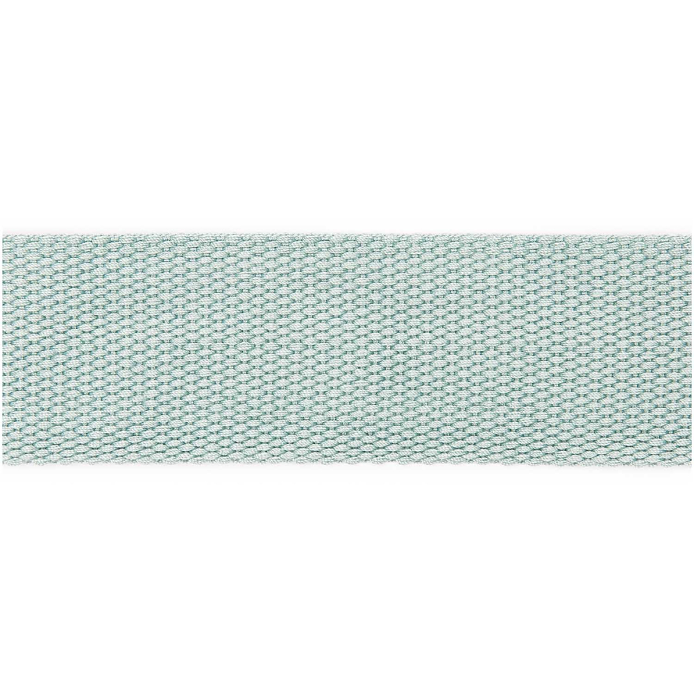 RICO DESIGN GURTBAND 40mm x 2m Resedagrün