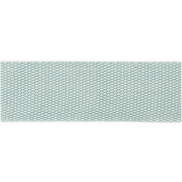 RICO DESIGN GURTBAND 40mm x 2m Resedagrün