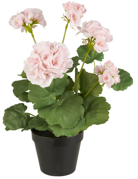 Deko Blumen Geranie rosa im Topf von IB Laursen
