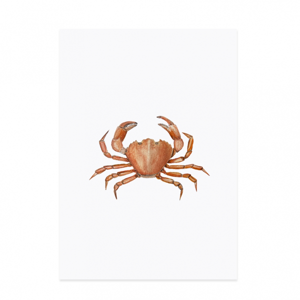 Postkarte Aquarell Strandkrabbe von Eulenschnitt 