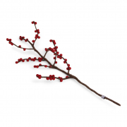 Zweig mit roten Beeren aus Filz von En Gry & Sif