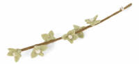 Zweig mit grünen Blumen aus Filz aus Filz von Gry & Sif