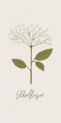 Papierservietten Holunderblüte / Elderflower von IB Laursen